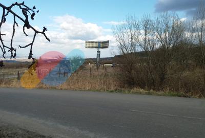 Teren extravilan, 2100 mp, zona Calea Turzii - Wonderland - 1