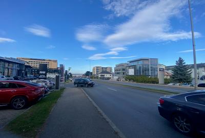 Spatiu comercial de inchiriat pe Calea Turzii 247 - 5