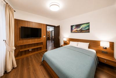 Apartament 3 camere mobilat// Domenii - 7