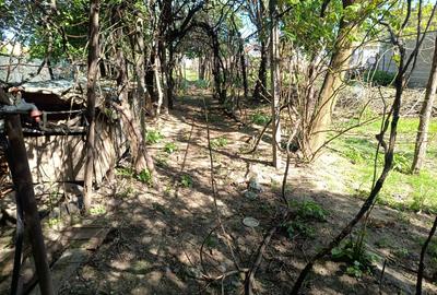 Casă renovabilă cu teren 2000 mp | 2 fronturi | Potențial investiție Sebeș - 9