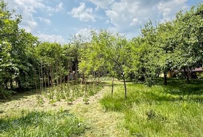 BAIA SPRIE - spre Cavnic Vila D+P+E 168mp + anexa cu teren 1526mp! - 8