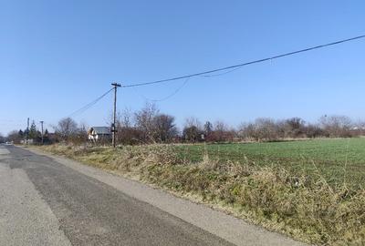 Gradistea/Zona padure - 3