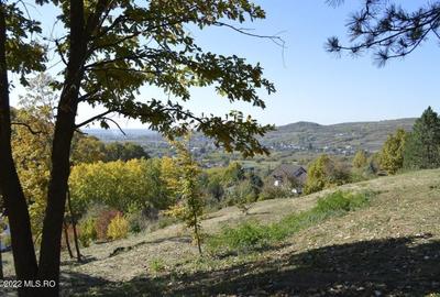 Topoloveni - Conacul Ion Mihalache, Domeniu pe 5 Hectare! - 56