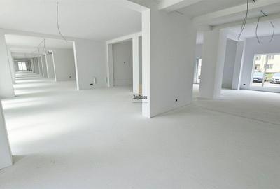 Spatiu Comercial - 300 mp - Doamna Stanca - 4