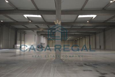 Hală industrială 7100mp – locație strategică - Biharia - zona metropolitană - 14