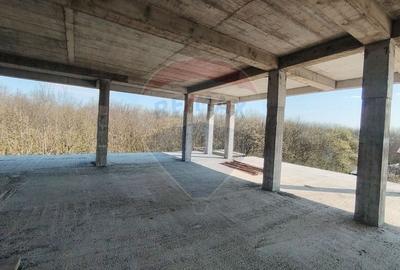 Apartament 4 camere CRANGUL PETRESTI. - 6