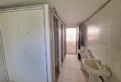 RECO Pensiune+sala de evenimente 150 locuri, 470 mp utili in Petreasa, com. Reme - 18