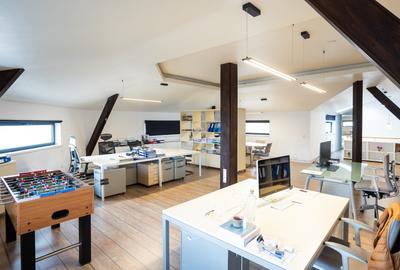 DOMENII-SPATII GENEROASE-DISPONIBIL IMEDIAT - 13