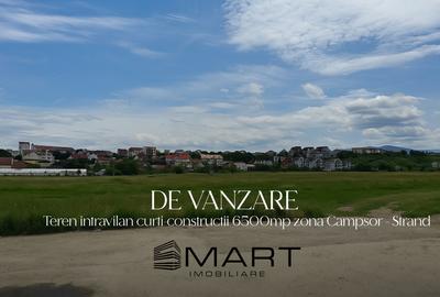 Teren intravilan 6500mp la drumul principal Campsor - Strand - 1