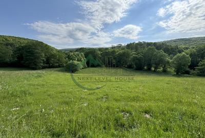 Teren Construcții extravilan de 2900 mp, în Lisnău-Vale