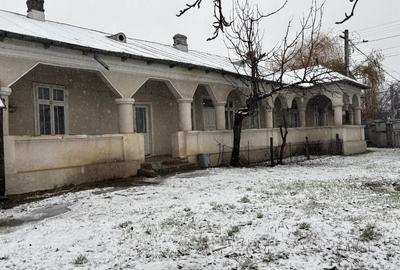 Vand gospodarie taraneasca traditionala - 10