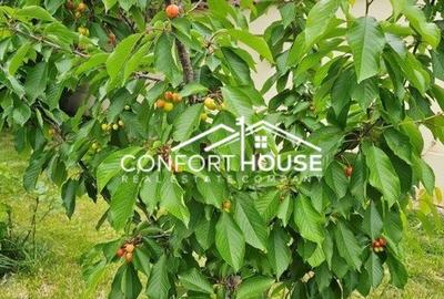 Vila D+P+E+M, teren 898mp, piscina, IANCU NICOLAE-Cambridge School - 58