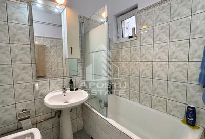 Oportunitate investitie – 3 SAD-uri si casa, Timisoara, zona Sagului - 8