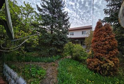 Inchiriere casa soseaua Snagov nr 229, teren 1000 mp - 20
