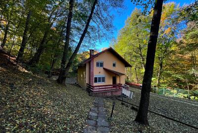 Vila de Vanzare langa PITESTI ; P+1 - 128 mp , 3 dormitoare, 2 bai : 104.320 EUR - 13