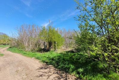 TEREN INTRAVILAN POSTAVARI, FRUMUSANI - 1