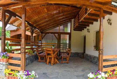 Casa de vis în inima naturii – Valea Doftanei, Prahovaa - 9