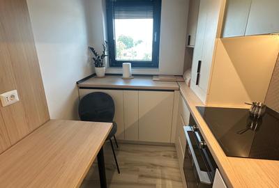 Inchiriere doua camere Premium Aparatorii Patriei - 26