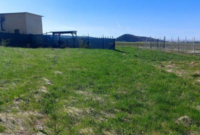 Teren agricol extravilan de 1500 mp, în Poplaca