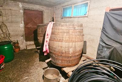 Casa tip duplex cu garaj, beci si crama, zona carrefour- Piatra Neamt - 8