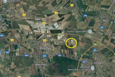 Teren intravilan Bolintin Deal, zona  industriala, Str. Rasaritului, 20.000 mp, - 4