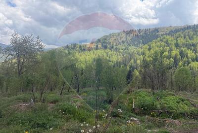 Proprietate eco-turistică de vânzare – 62.330 mp, Horea, Alba - 55