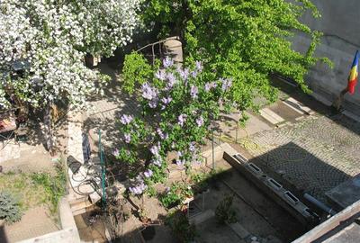 PTA VICTORIEI - VILA 521 MP UTILI, TEREN 587 MP! - 1