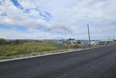 De vanzare teren industrial cu PUZ aprobat - 7