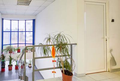 Spațiu industrial–afacere catering la cheie, teren&hală 750 mp S+P+1E - 8