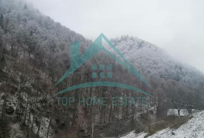 Cabana cocheta de vanzare cu teren generos 3000 mp, Baisoara! - 12