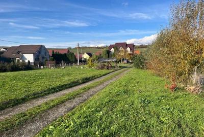 Casă spațioasă + teren intravilan-Sigmir-275 mp utili-teren 3300mp - 6