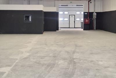 Zona Industriala (Dobrogea), hala 425 - 2083mp., constructie 2024, ISU tip C - 6