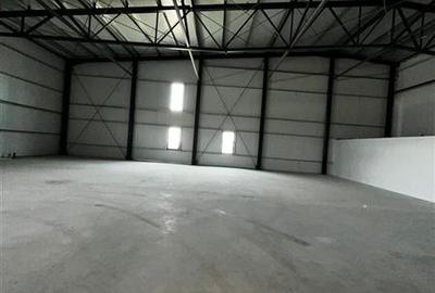 Hala NOUA, 707 mp, parc logistic Miroslava - 3