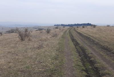 Teren agricol pentru investitii, zona Valea Calda -Iris - 9