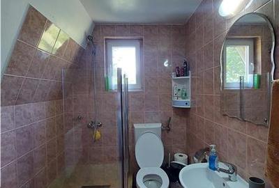 OPORTUNITATE!!! Casa la munte, zona Remeti, drumul Apusenilor! 2 case disponibil - 10