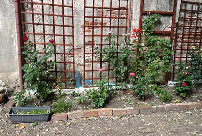 Apartament cu 3 camere/  Piata Victoriei/ Moxa - 12