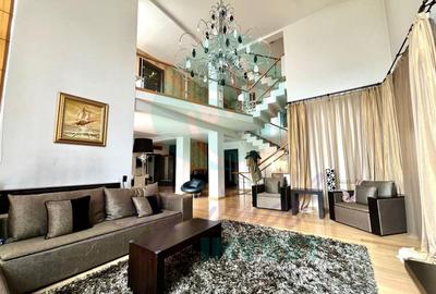 Vila individuala 12 camere Iancu Nicolae- Jolie Ville - 3