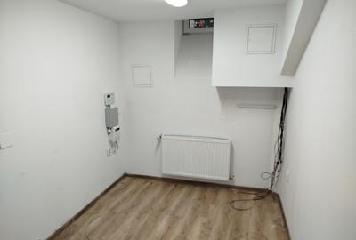 Spatioasa libera curte si parcare. Vila cu prestanta in locatie eleganta Mosilor - 13