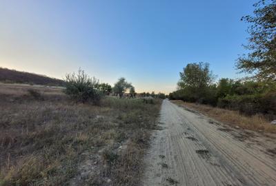 Teren Cernavodă 14.000 m/4 euro m - 6