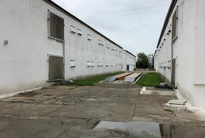 Hala | Spatiu depozitare, productie de inchiriat | Les, Bihor - 10