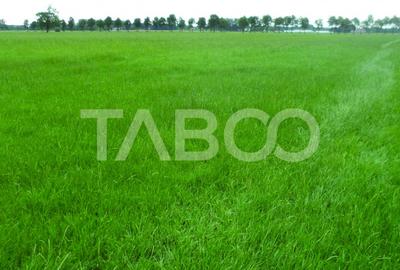 Teren intravilan deschidere 35 ml 7000mp in zona Industrial Vest Sibiu - 2