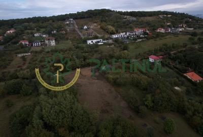 Teren intravilan de vanzare 960 mp Cisnadioara, Sibiu - 21