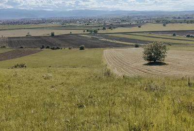 Teren extravilan de vanzare | 4600 mp | in zona Gusterita
