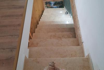 FARA COMISIOANE Tartasesti aproape de asfalt casa  5 camere 3 bai P+1+pod garaj - 26