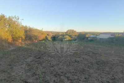 TEREN INTRAVILAN  PLOPU//3000 MP - 1