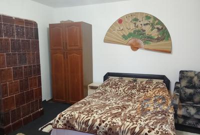 Casa Bihor Comuna Magesti Sat Josani la doar 50 de kilometri de Oradea - 7