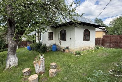 2 Case + teren 1390 mp langa parcul central Provita de Sus - 25