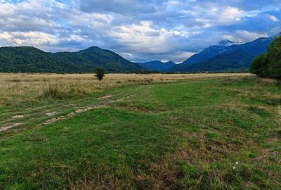 Teren rezidential RASNOV - Glajerie - 9