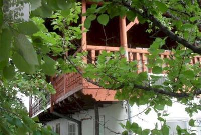 Casa Vacanta Izvorani - 2