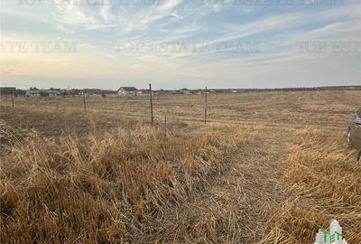 Teren Construcții intravilan de 2500 mp, în Bălăceanca